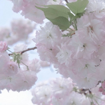 Furry原创作品欣赏FurryQQ群